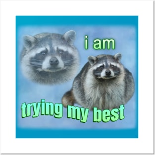 I'm trying my best raccoon meme Posters and Art